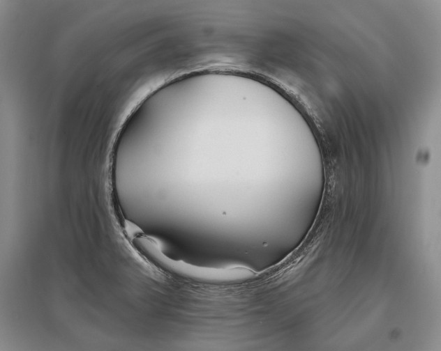 X0000096991375200802291159