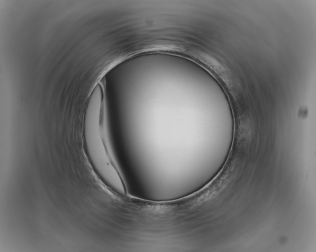 X0000096991377200802291159