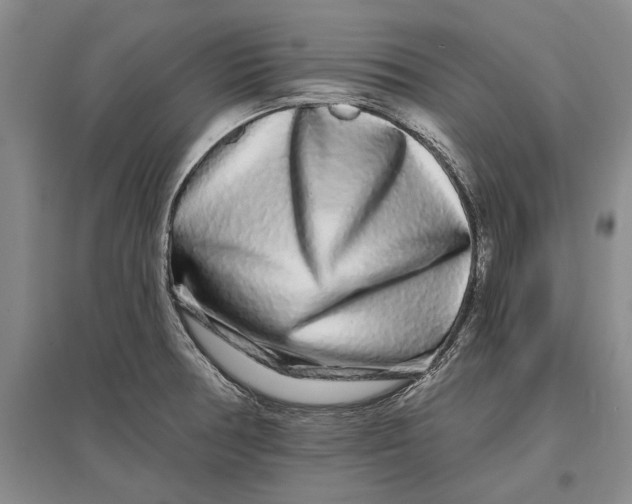 X0000096991378200802291159