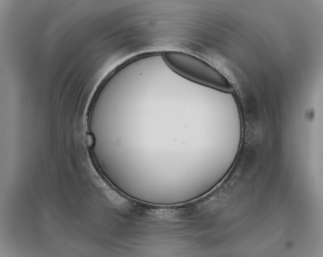 X0000096991380200802291159