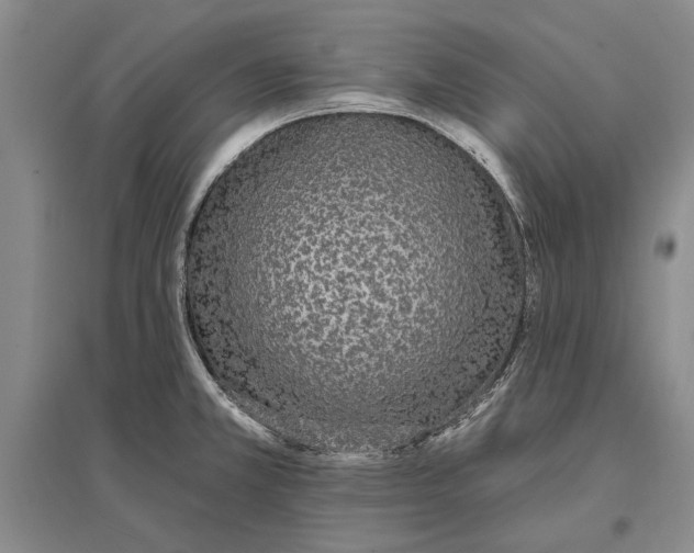 X0000096991381200802291159