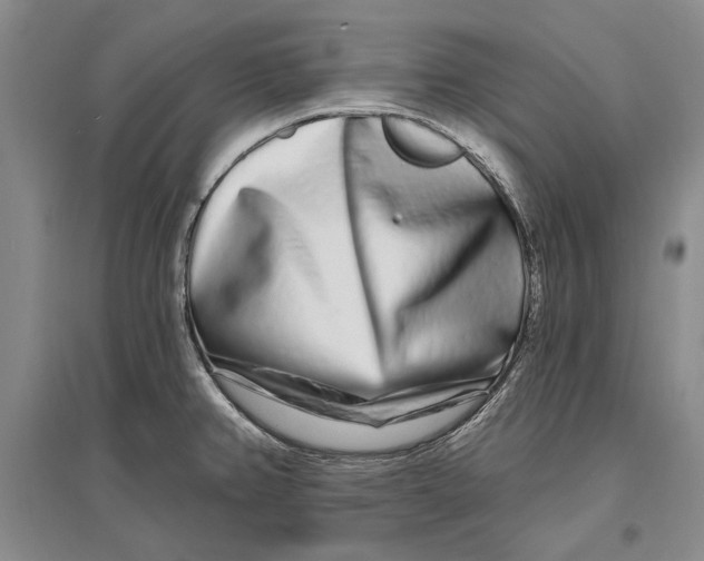 X0000096991382200802291159