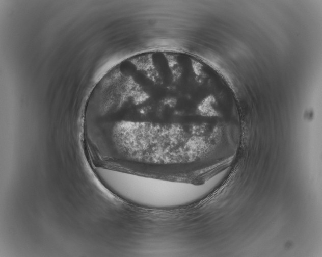 X0000096991383200802291159