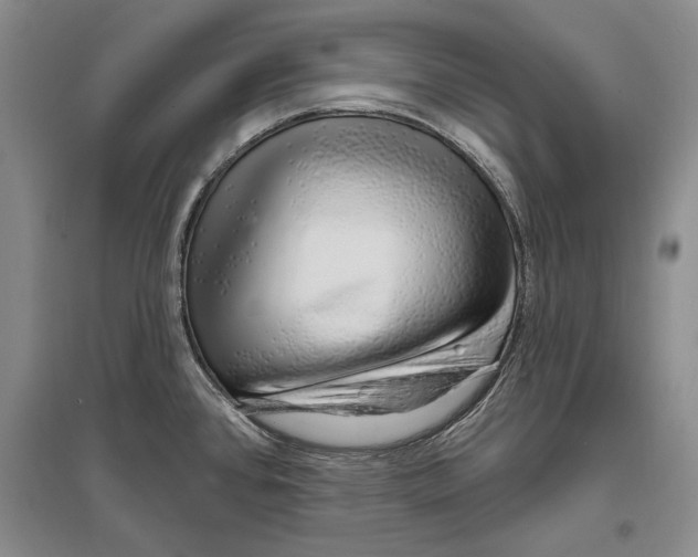 X0000096991384200802291159