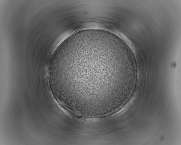 X0000096991385200802291159