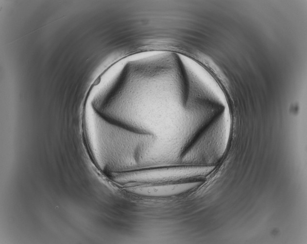 X0000096991386200802291159