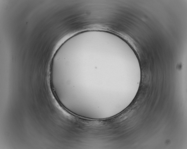 X0000096991387200802291159