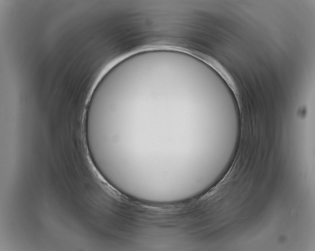 X0000096991388200802291159