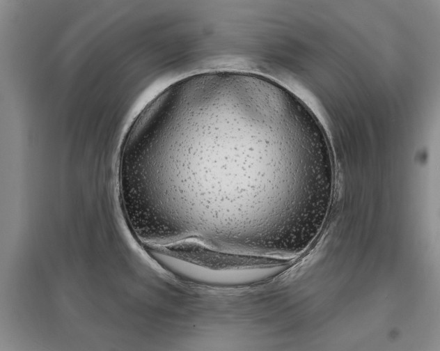 X0000096991389200802291159