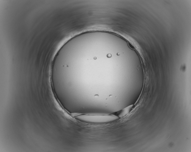 X0000096991390200802291159