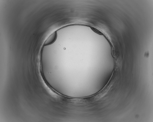 X0000096991391200802291159