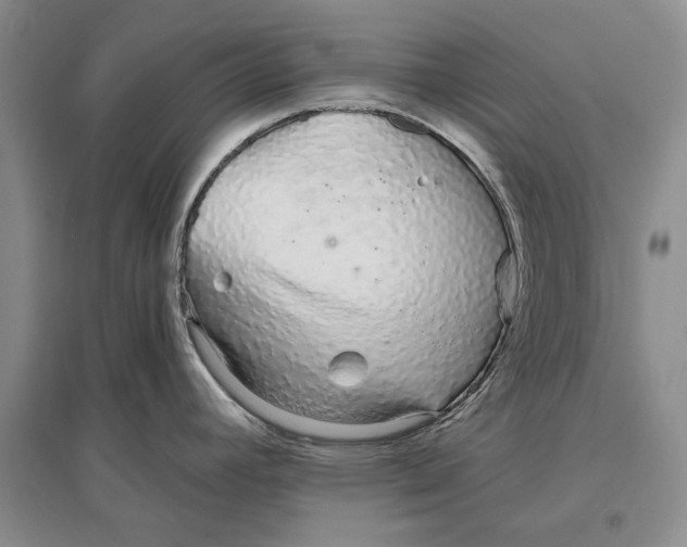 X0000096991392200802291159