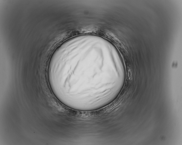 X0000096991393200802291158