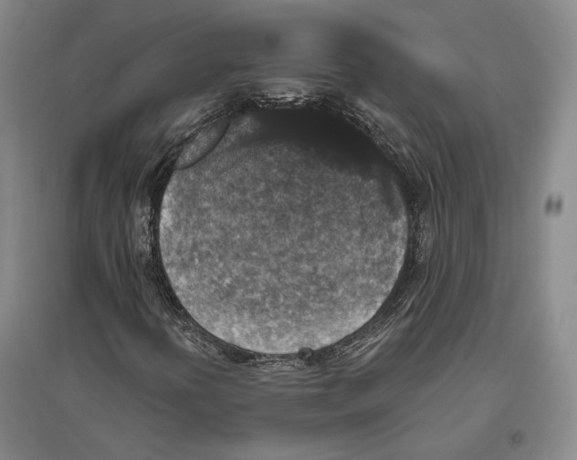 X0000096991394200802291158