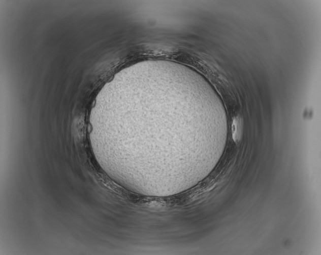 X0000096991395200802291158