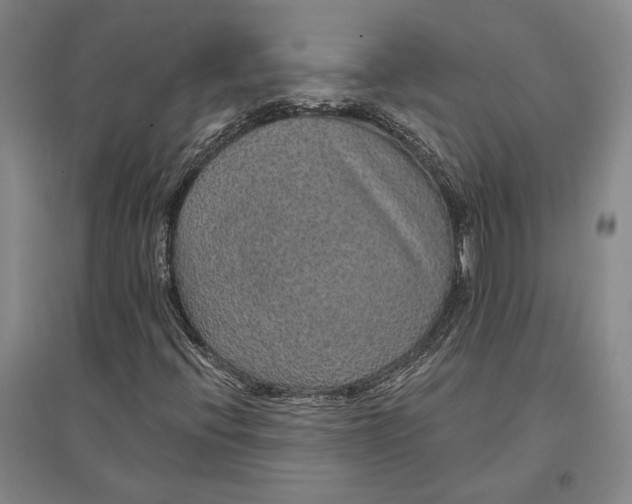 X0000096991396200802291158