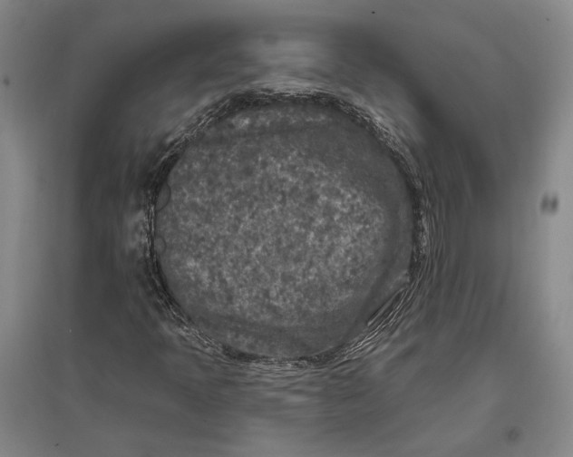 X0000096991397200802291158