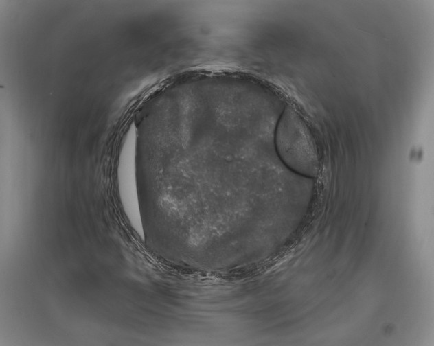 X0000096991398200802291158