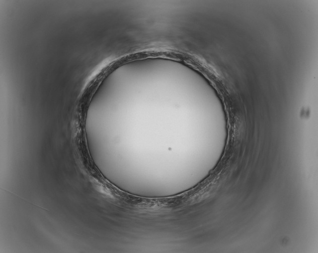 X0000096991400200802291158