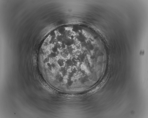 X0000096991401200802291158