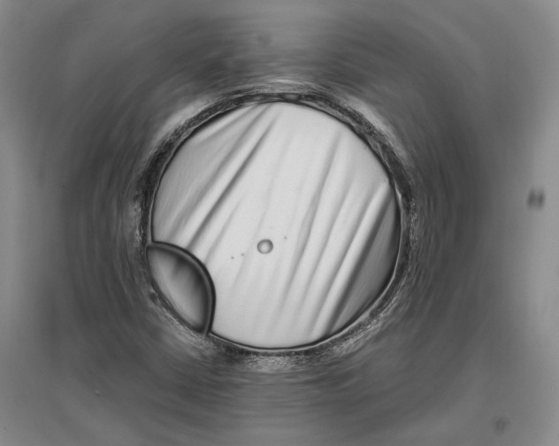 X0000096991402200802291158