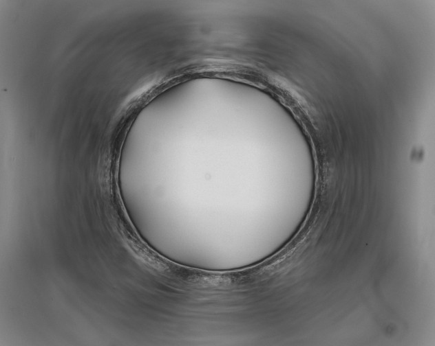 X0000096991403200802291158