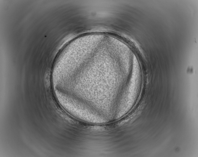 X0000096991409200802291158