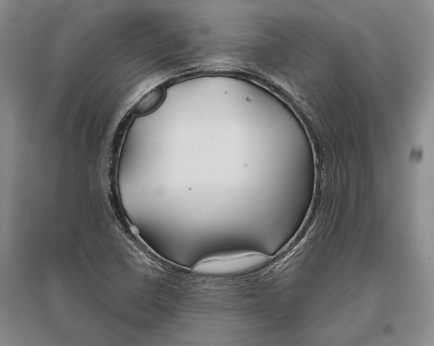 X0000096991410200802291158