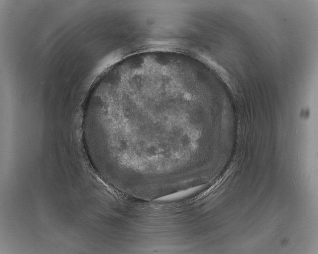 X0000096991411200802291158