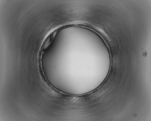 X0000096991412200802291158