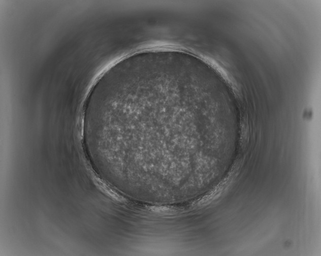 X0000096991413200802291158