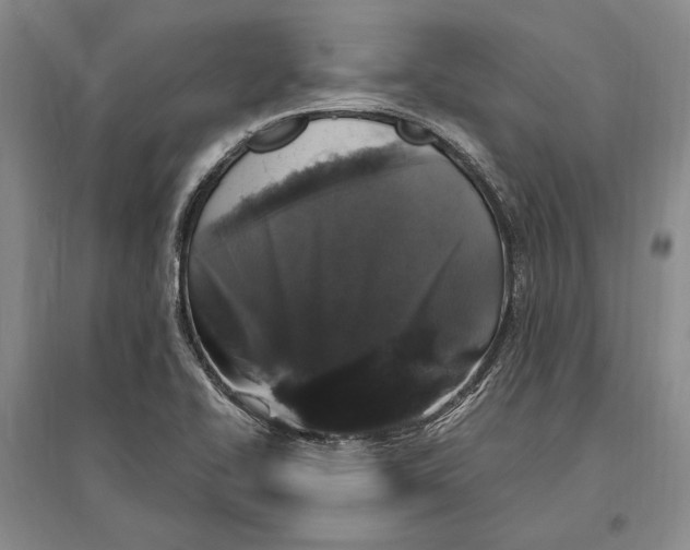 X0000096991414200802291158