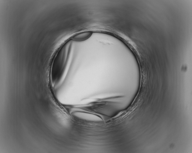 X0000096991415200802291158