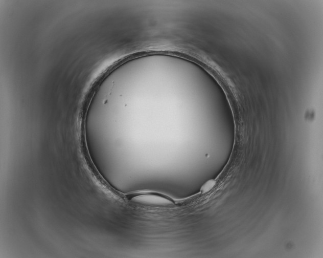 X0000096991416200802291158