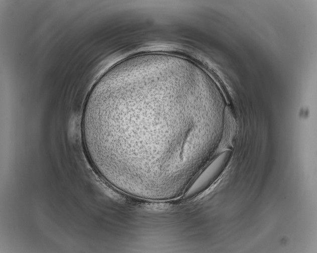 X0000096991417200802291158