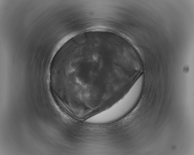 X0000096991418200802291158