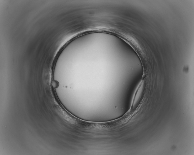 X0000096991420200802291158