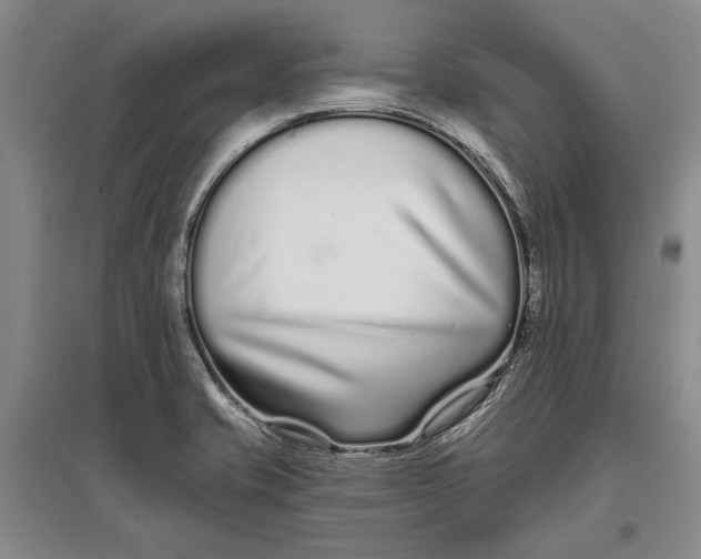 X0000096991421200802291158