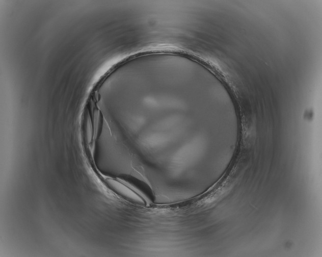 X0000096991422200802291158