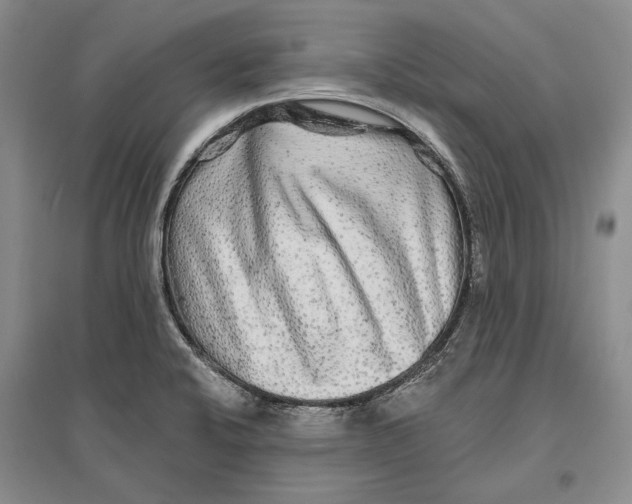 X0000096991424200802291159