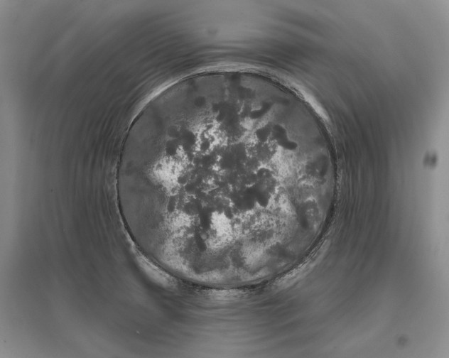 X0000096991425200802291159