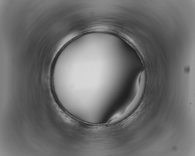 X0000096991426200802291159