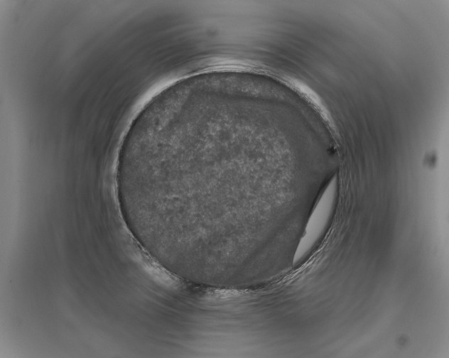 X0000096991427200802291159