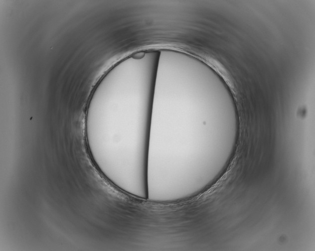 X0000096991428200802291159