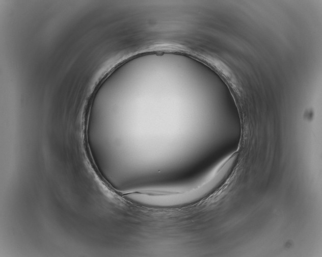 X0000096991430200802291159