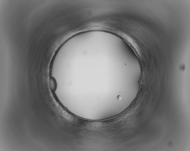 X0000096991431200802291159