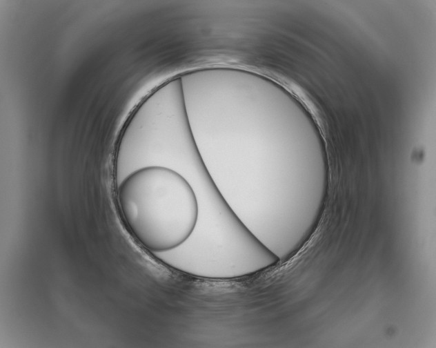 X0000096991432200802291159