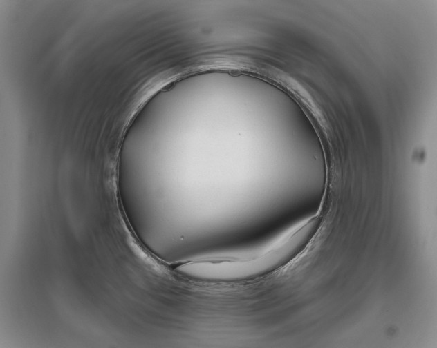 X0000096991433200802291159