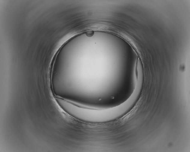 X0000096991434200802291159