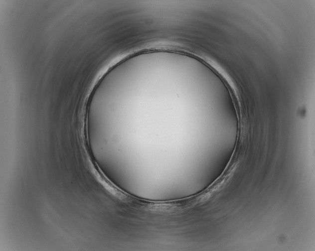 X0000096991437200802291159